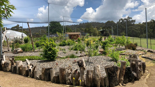 coffee sustainability, Yarra Valley Estate and Babbajin Park