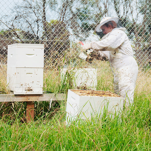 Griffiths Bros Coffee Roasters. Victorian Honey. Honeycomb.