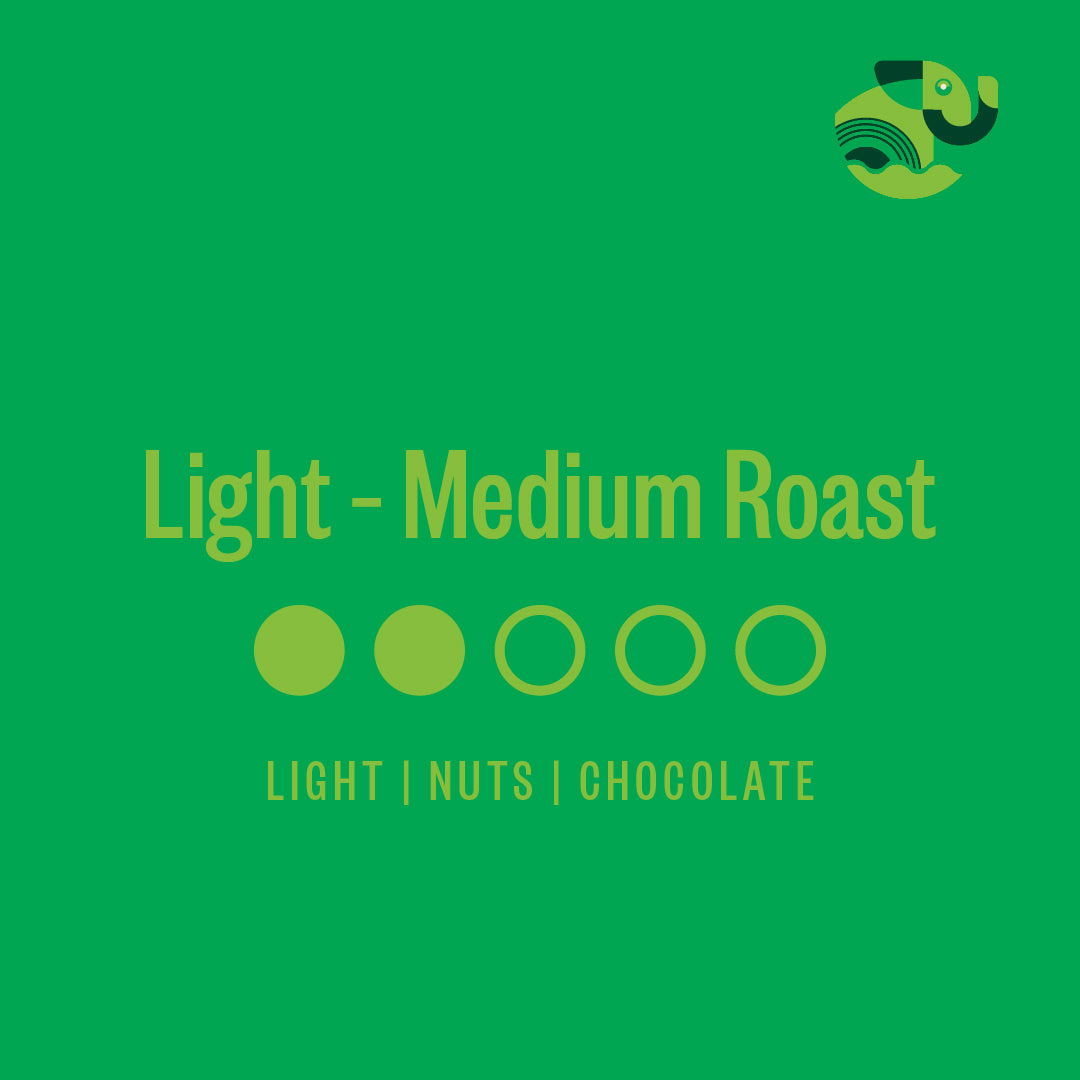 Nicaragua Jumbo Light