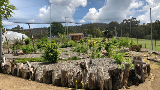 coffee sustainability, Yarra Valley Estate and Babbajin Park 