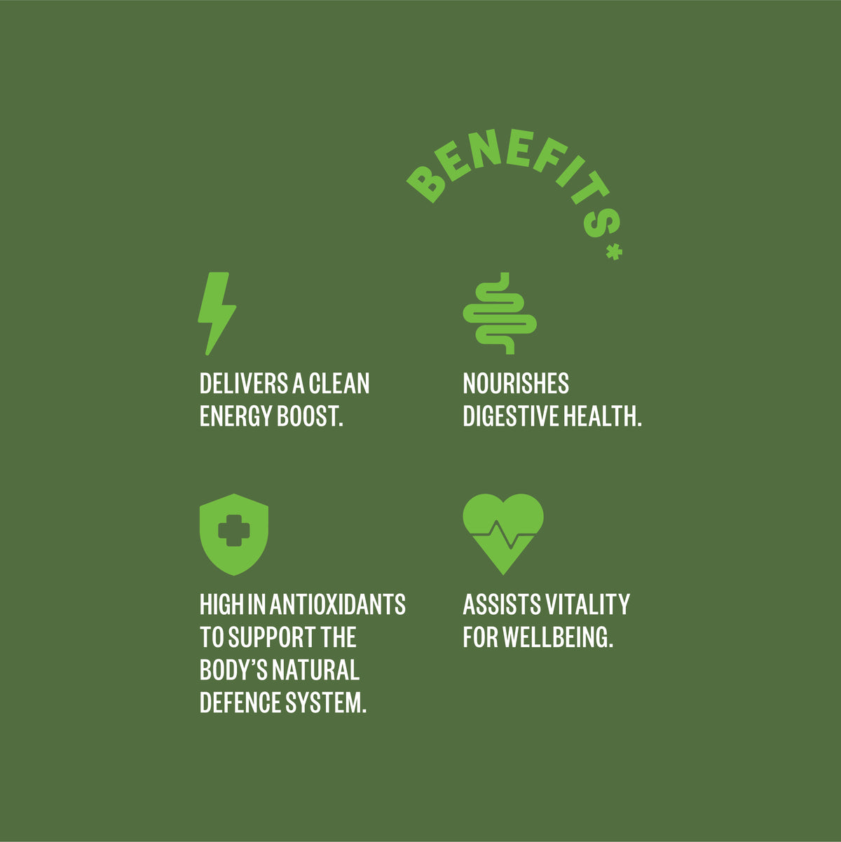 Matcha 6 pack
