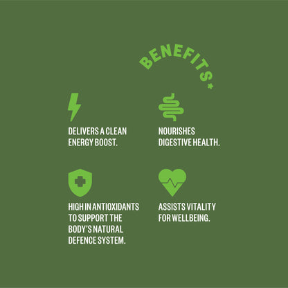 Matcha 6 pack