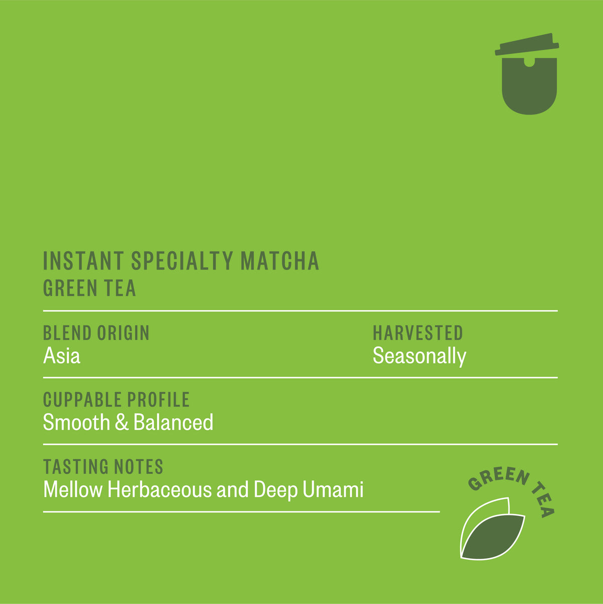 Matcha 6 pack