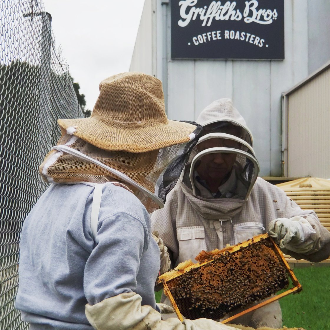 Griffiths Bros Coffee Roasters Bee Hive. Honey extraction.